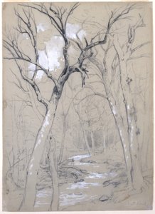 Een Beek in het Bos, 1854